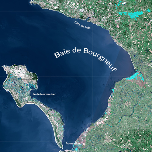 carte.jpg