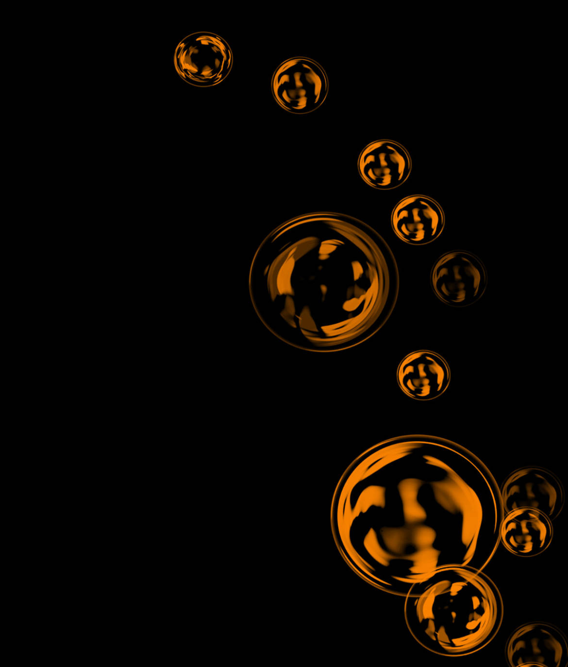 hom_section_3.jpg